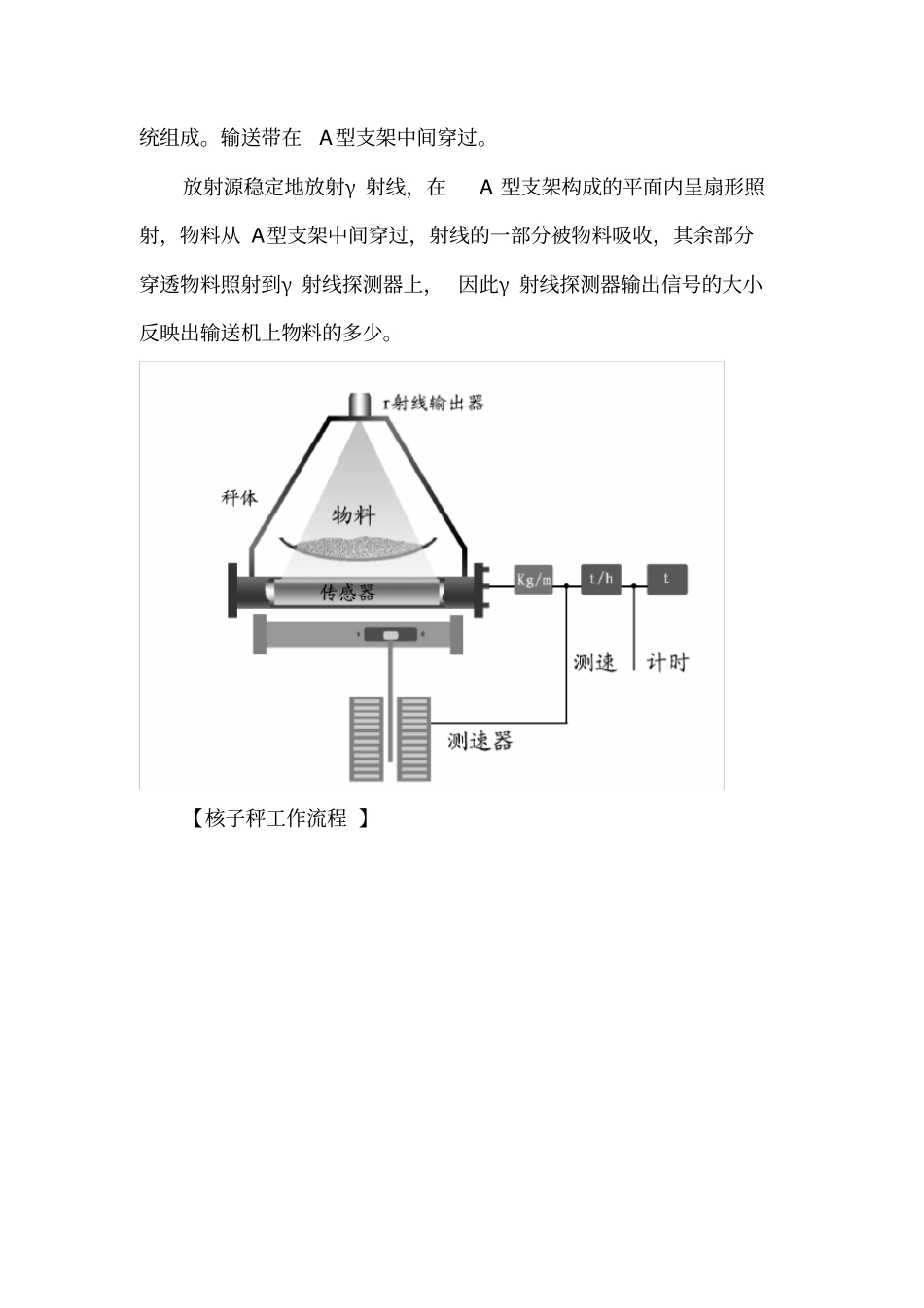 0核子秤培训教材_第3页