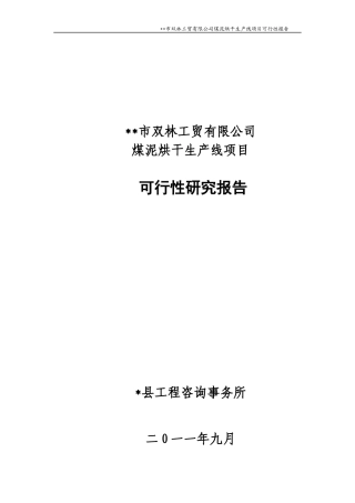 煤泥烘干生产线项目可行性研究报告