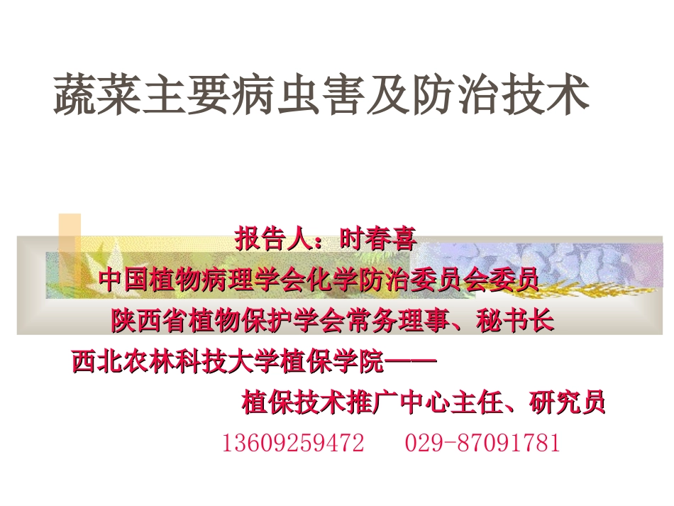 蔬菜主要病虫害及防治技术.剖析_第1页