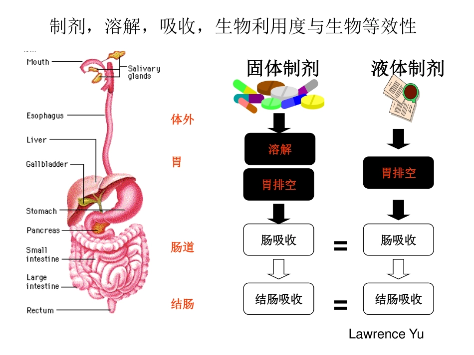 影响药物吸收、生物利用度和生物等效性的因素_第3页