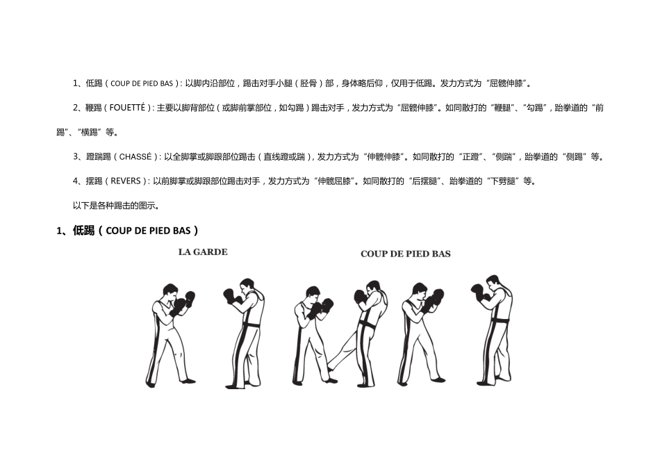赛法斗运动基本技术动作图示1_第2页