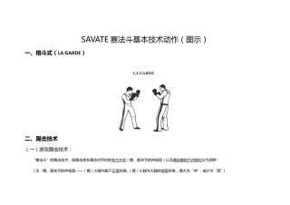 赛法斗运动基本技术动作图示1