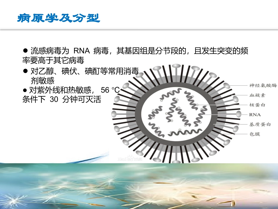 儿科流感PPT_第2页