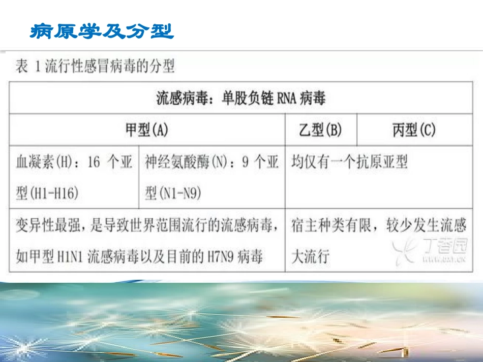 儿科流感PPT_第3页