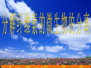 人教版教学课件人教版生物选修1专题2课题3纤维素酶的分离