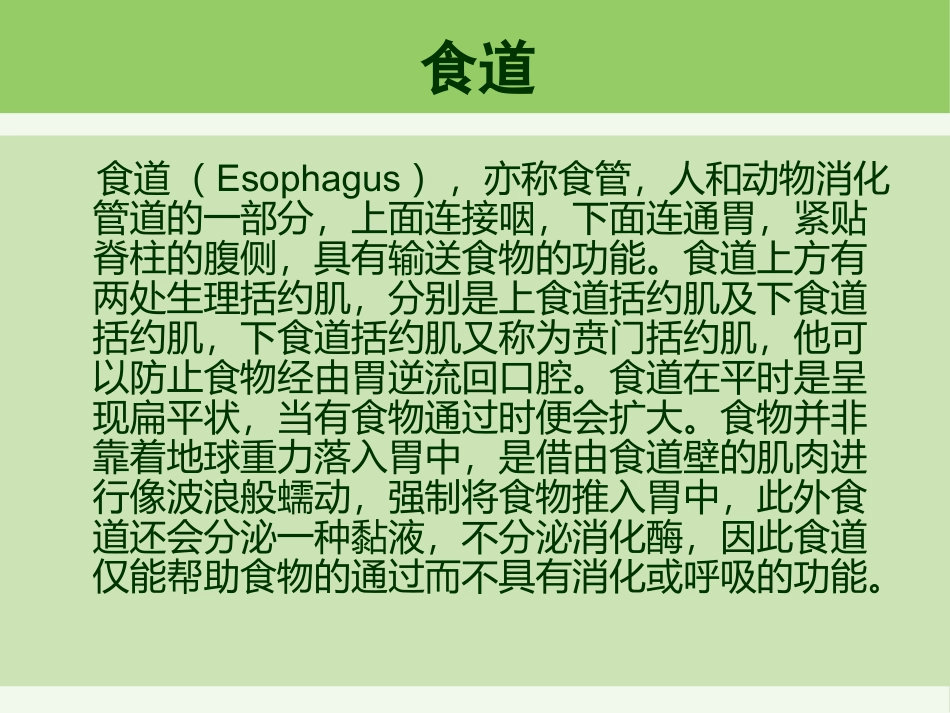 食道癌护理查房_第2页