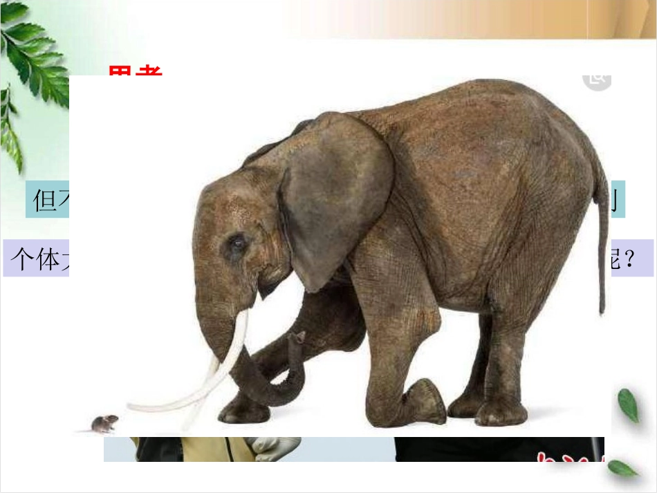 细胞增殖6.1-1_第2页