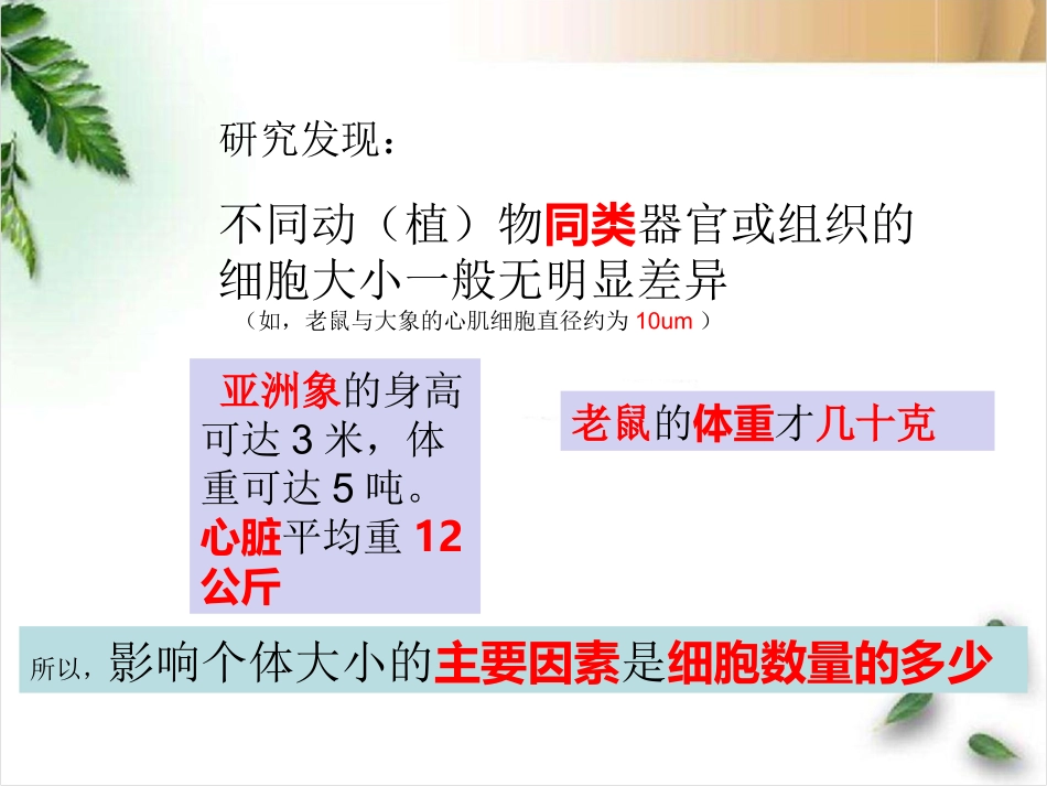 细胞增殖6.1-1_第3页