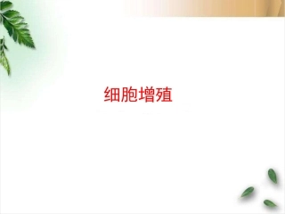 细胞增殖6.1-1
