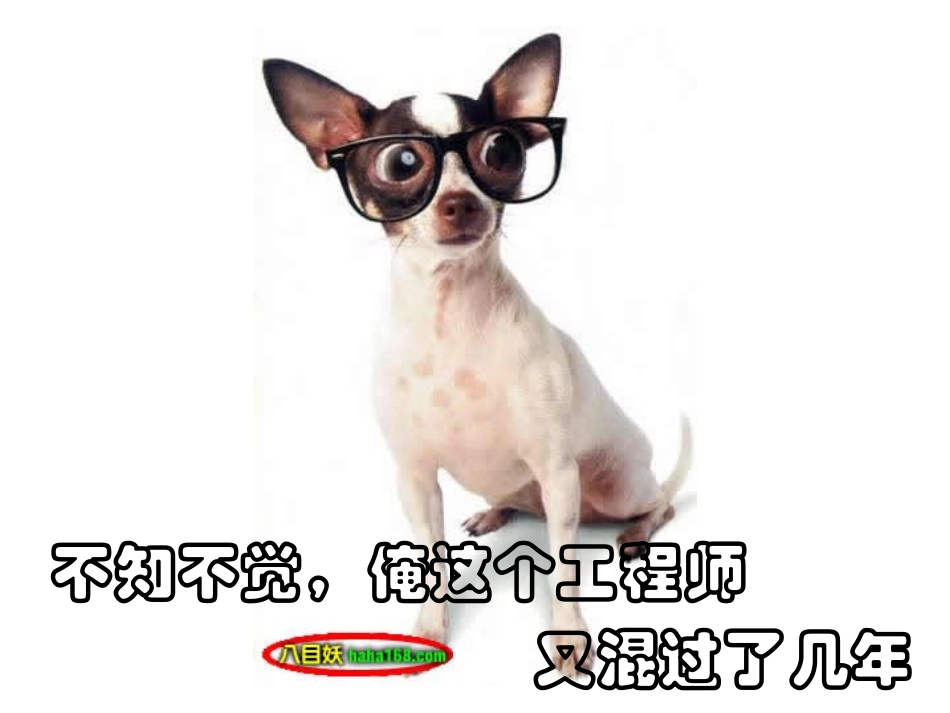离职人员的搞笑PPT_第2页