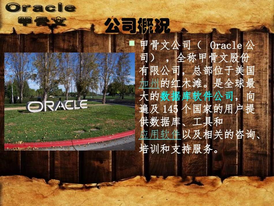 甲骨文公司(Oracle)的发展和创新_第2页
