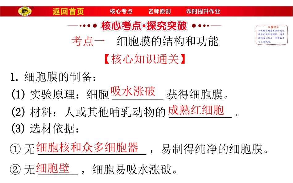 必修1第二单元第1讲细胞膜和细胞核剖析_第3页