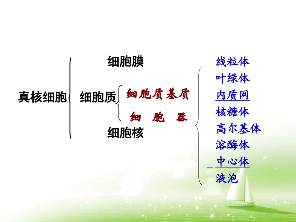 上课《细胞器——系统内的分工合作》_第3页