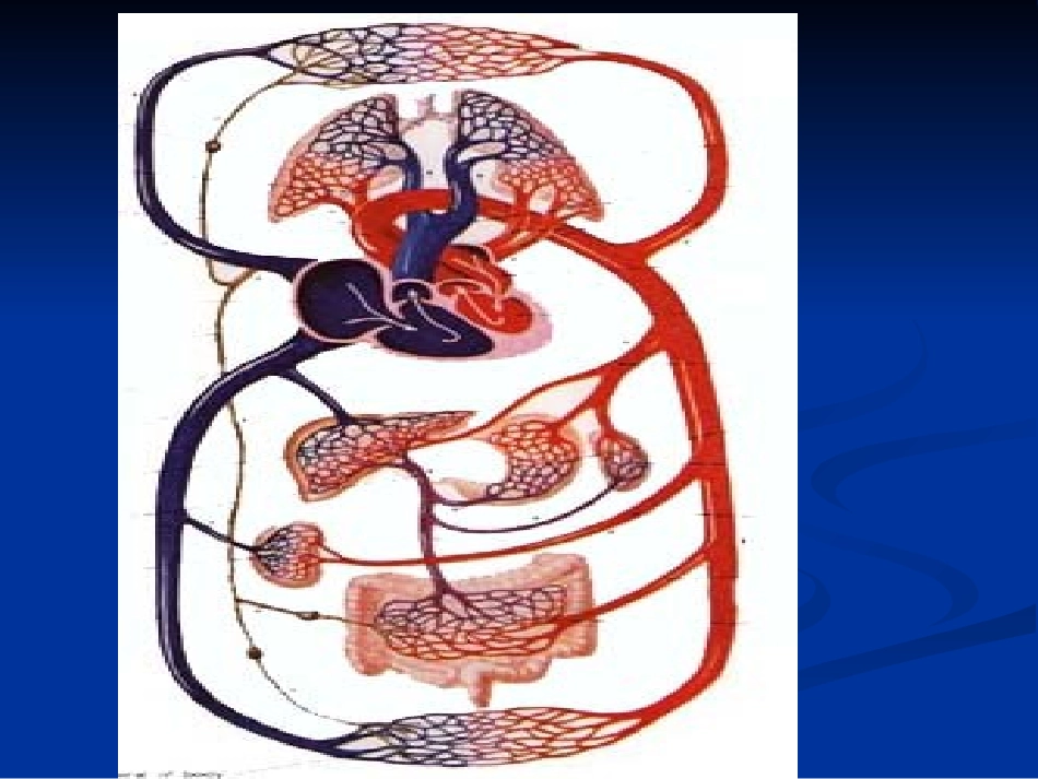 内科学心力衰竭1_第2页