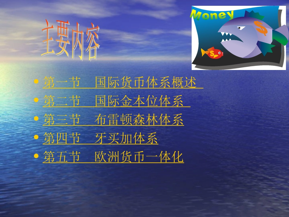 第九章  国际货币体系_第2页