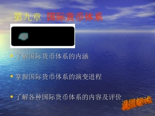 第九章  国际货币体系