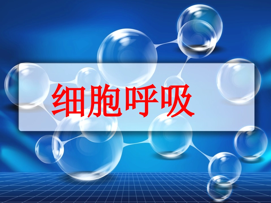 必修1-分子与细胞-第3节-ATP的主要来源──细胞呼吸_第2页