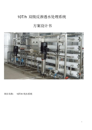 10吨双级反渗透方案要点
