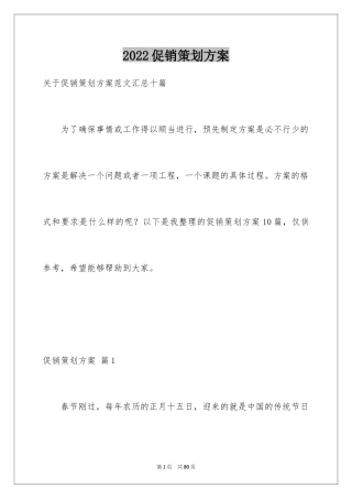 2024促销策划方案_13