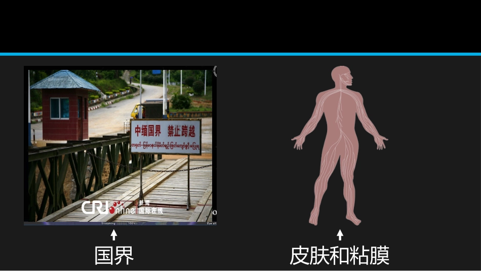 必修1-分子与细胞-第1节-细胞膜──系统的边界_第2页