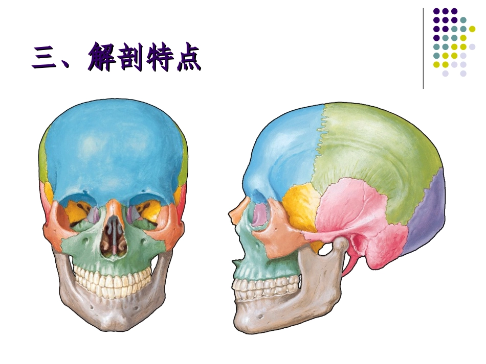 口腔颌面外科-颌骨骨折_第3页