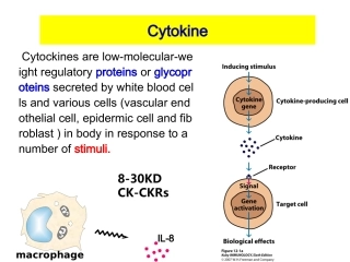 博士生课程5(1)-细胞因子