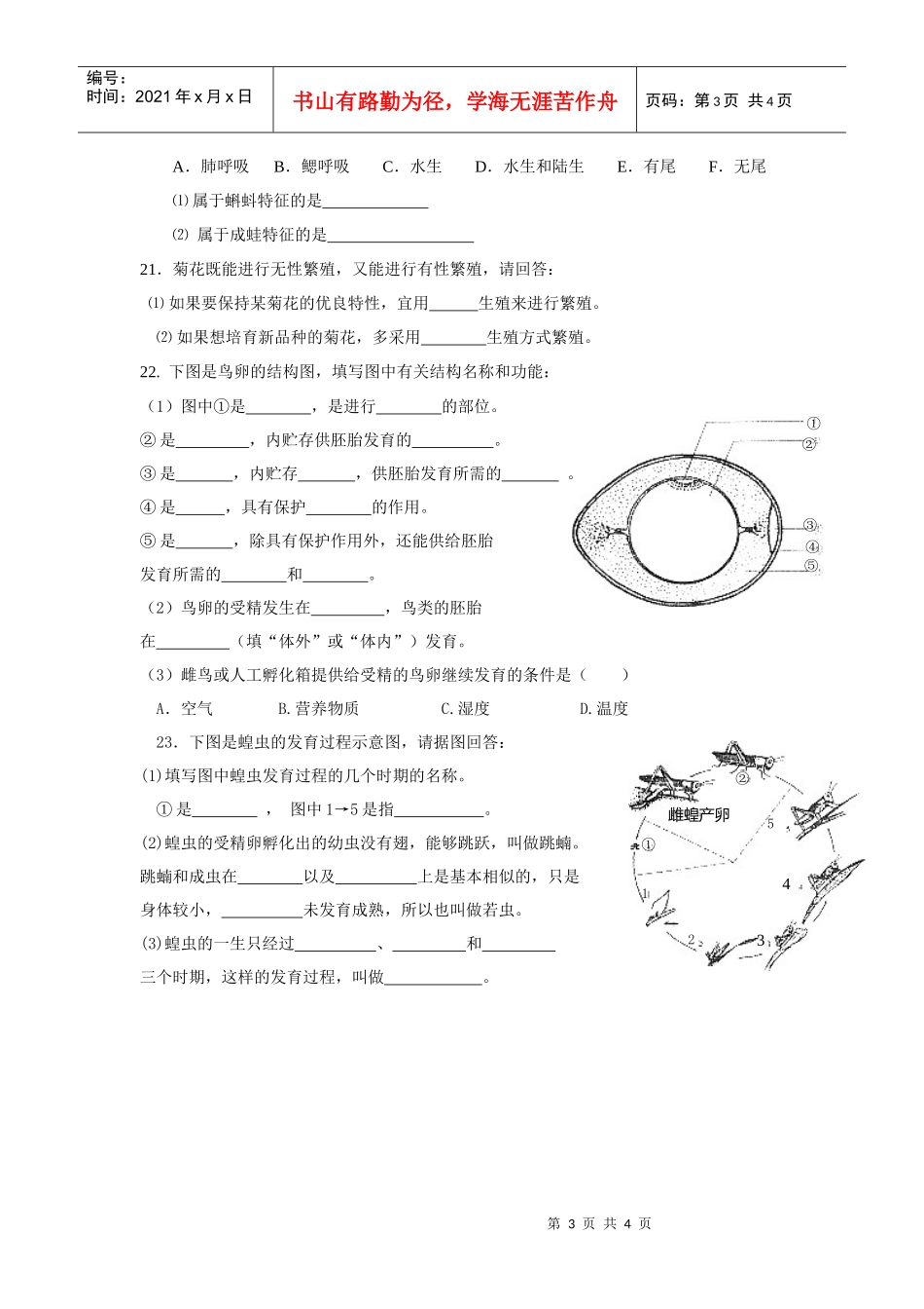 生物的生殖和发育_第3页