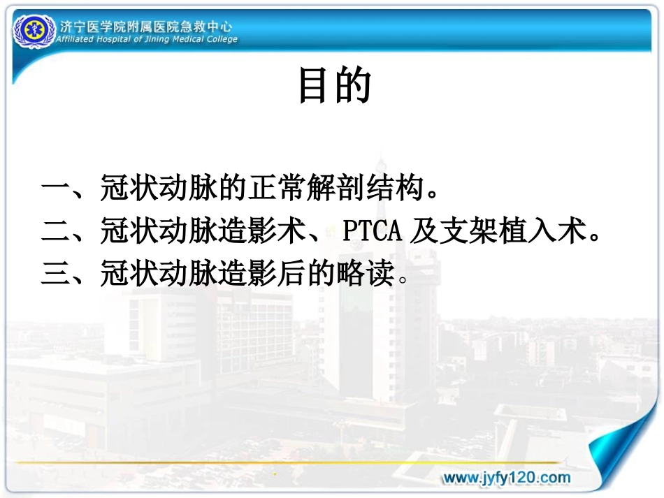 冠状动脉造影术--徐同亮_第2页