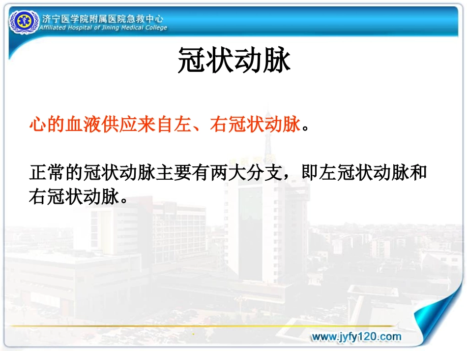 冠状动脉造影术--徐同亮_第3页