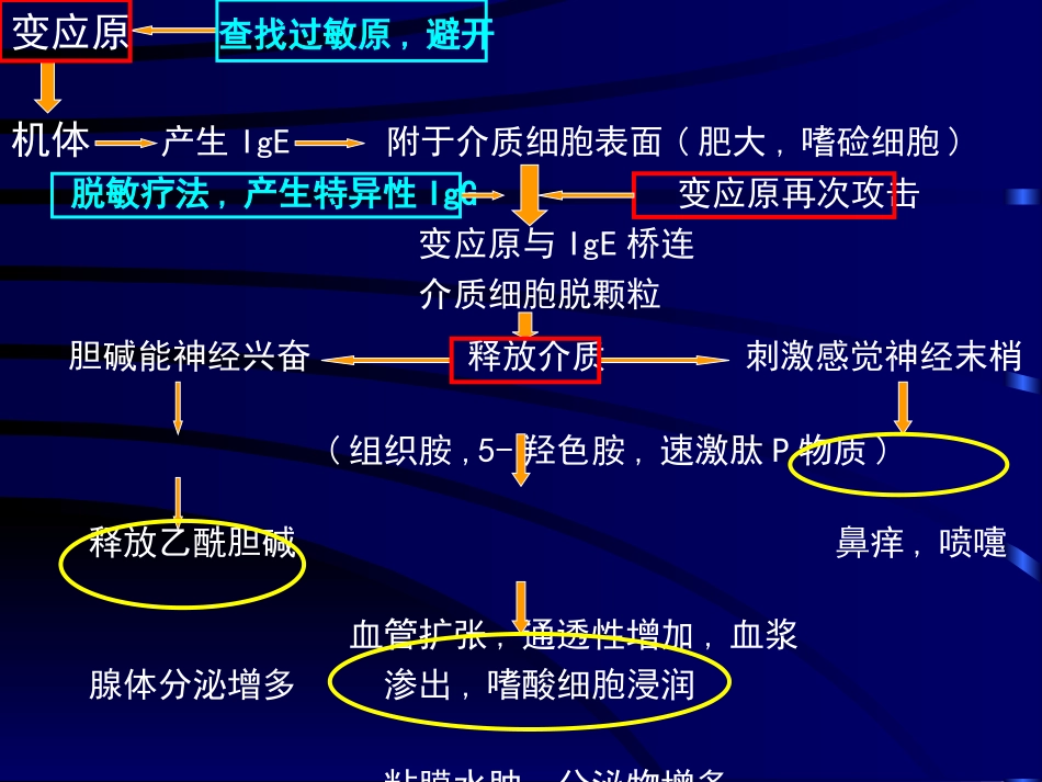 3鼻外伤出血过敏_第3页