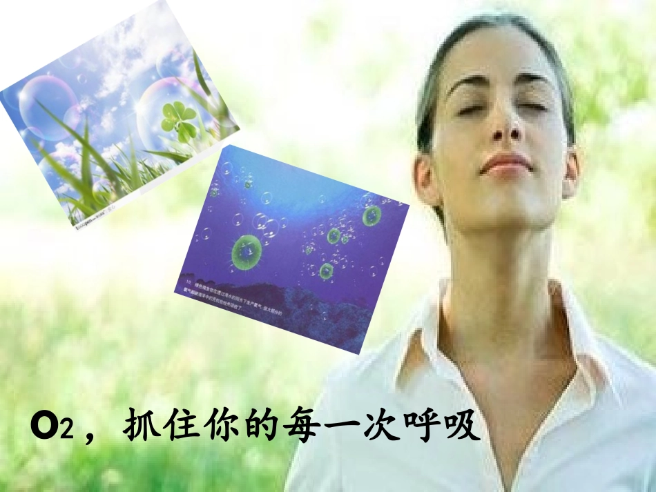 氧气疗法--肿内三-匡亚萍PPT_第2页