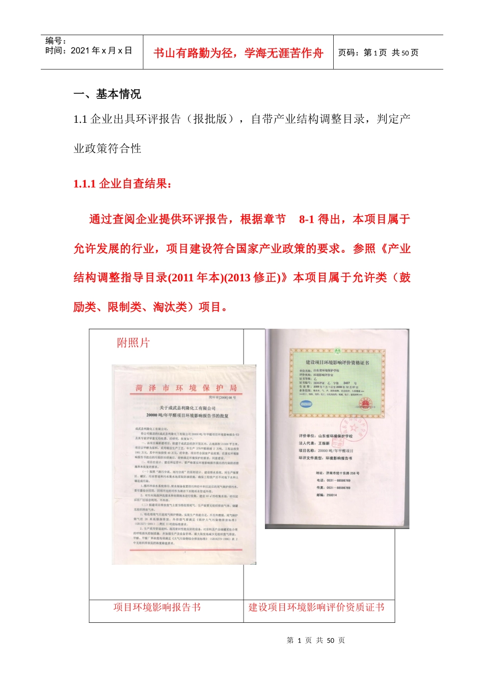 成武化工项目环保评分工作模板_第2页