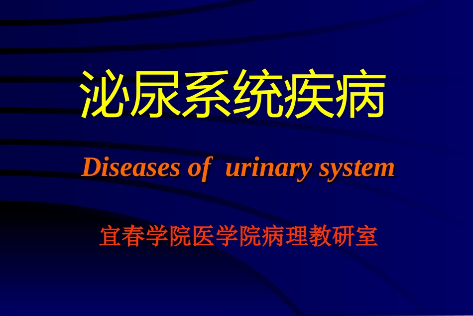 泌尿系统(本科)_第1页