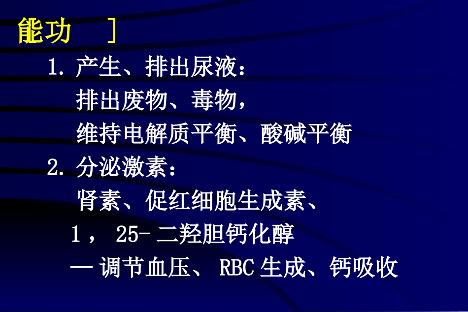 泌尿系统(本科)_第3页