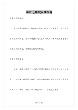2024仓库试用期报告