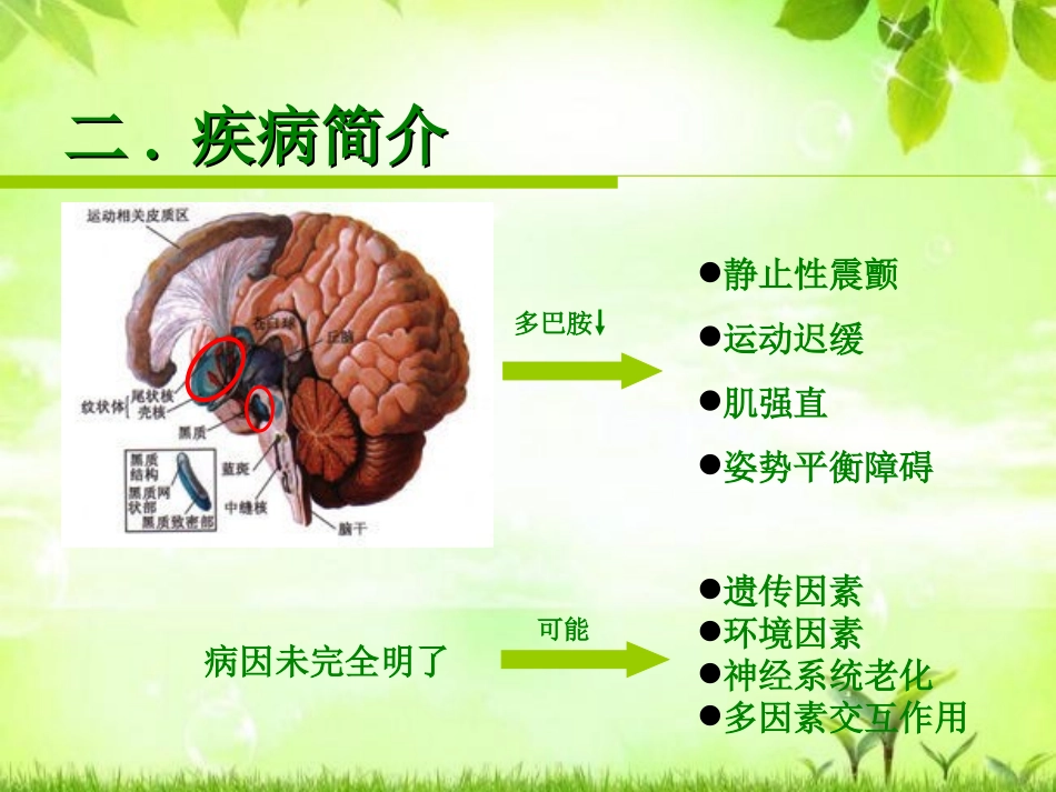 帕金森病患者康复训练_第3页