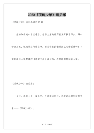 2024《顶碗少年》读后感_2