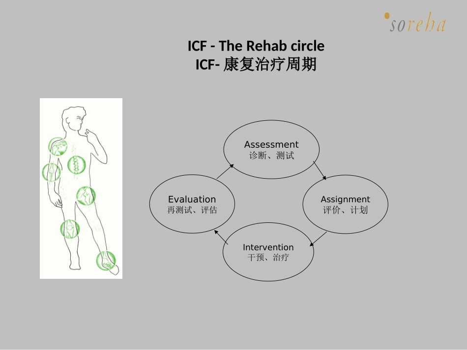 神经肌肉力量的测试、评定_第3页