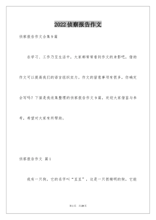 2024侦察报告作文