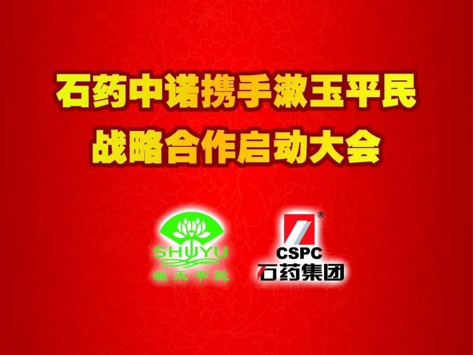 石药集团济南漱玉店长会20110601_第1页