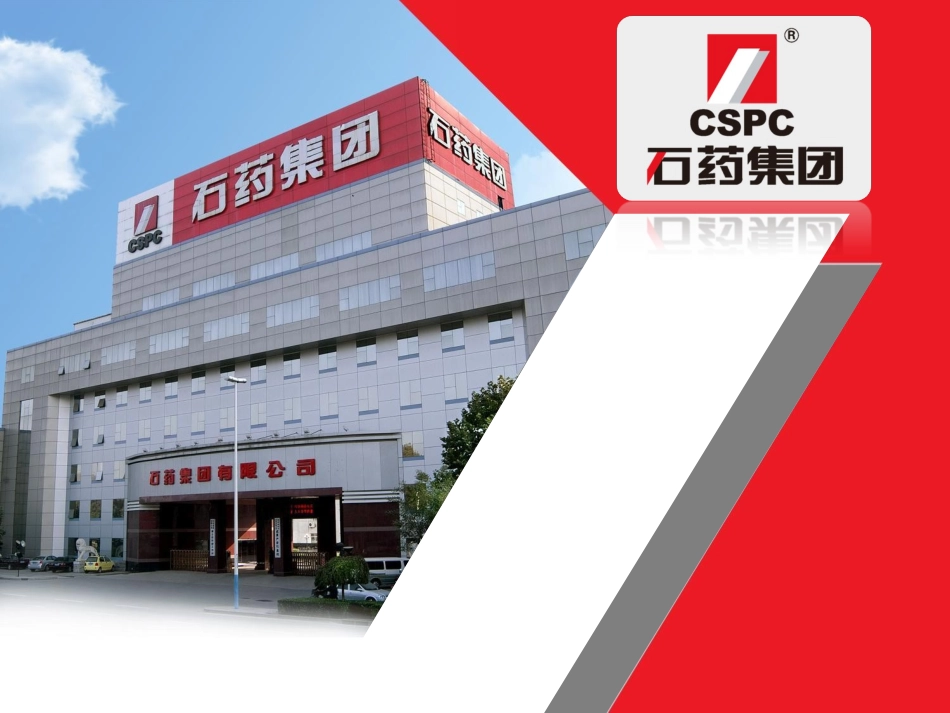 石药集团济南漱玉店长会20110601_第3页