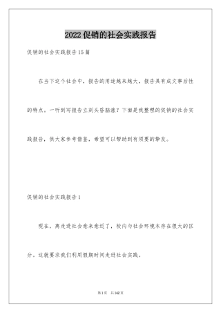 2024促销的社会实践报告_2