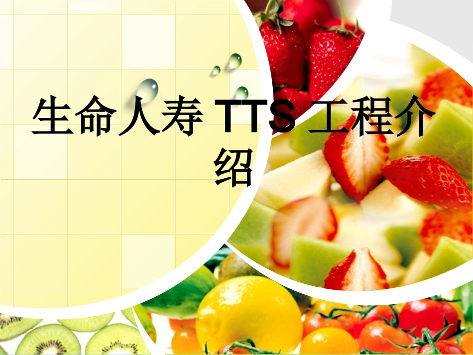 生命人寿TTS介绍_第1页