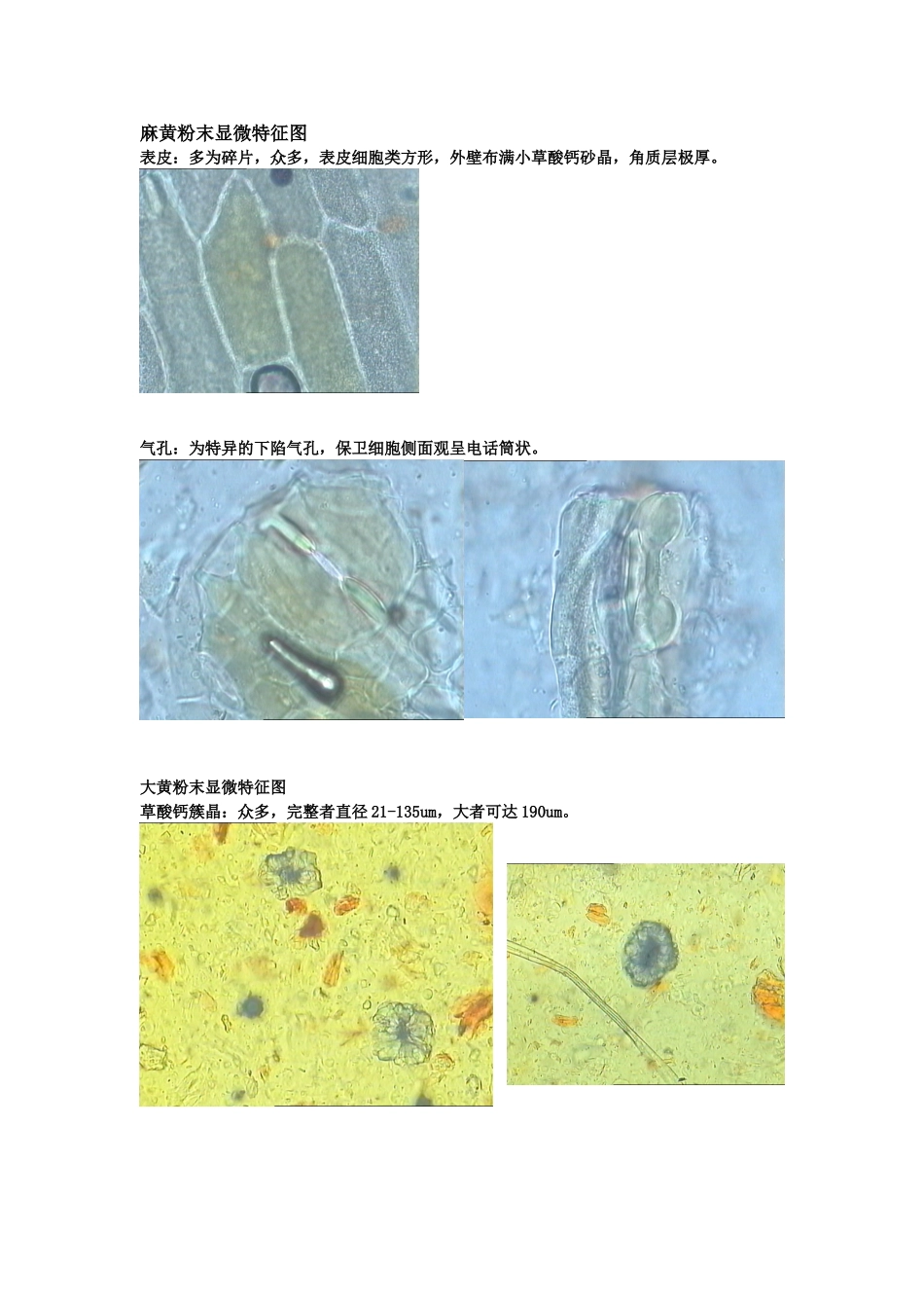 生药粉末显微特征及彩图_第1页