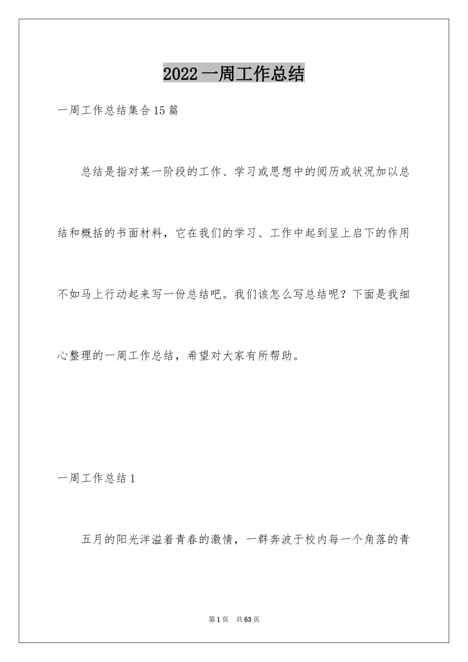 2024一周工作总结_5_第1页