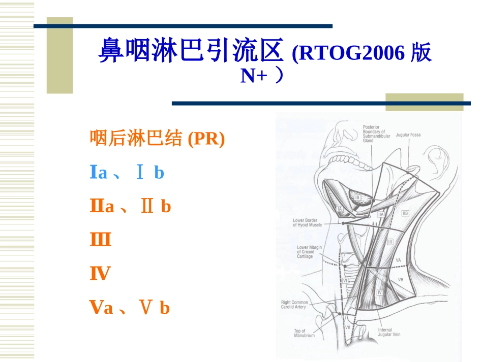 鼻咽癌淋巴引流区定界_第2页