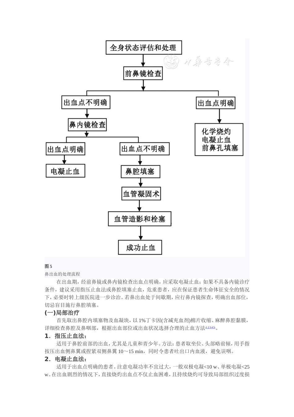 鼻出血诊断及治疗指南(草案)_第3页