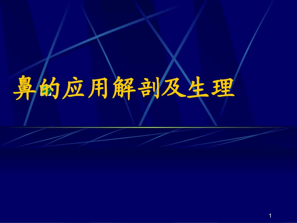 鼻解剖幻灯片_第1页