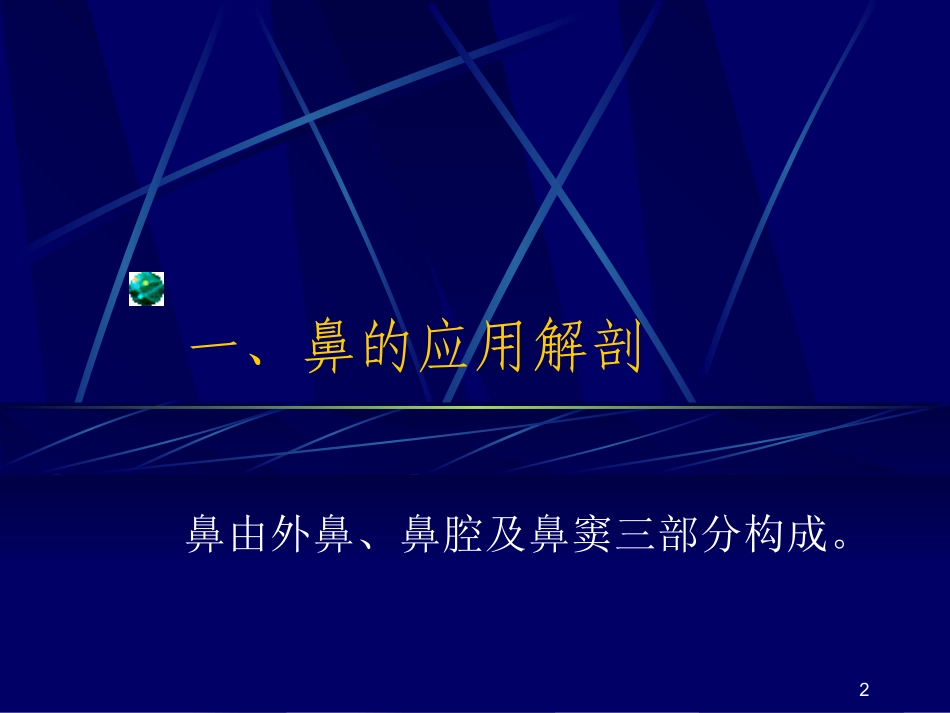 鼻解剖幻灯片_第2页