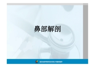 鼻部解剖图片